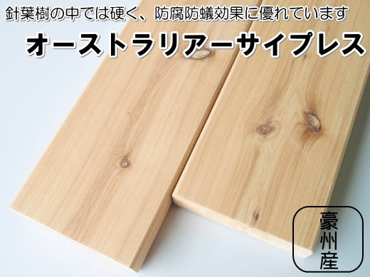 サイプレスの写真